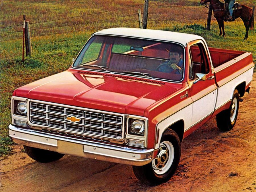  Chevrolet C20 Silverado Fleetside 1979 года  (фото 1 из 3)